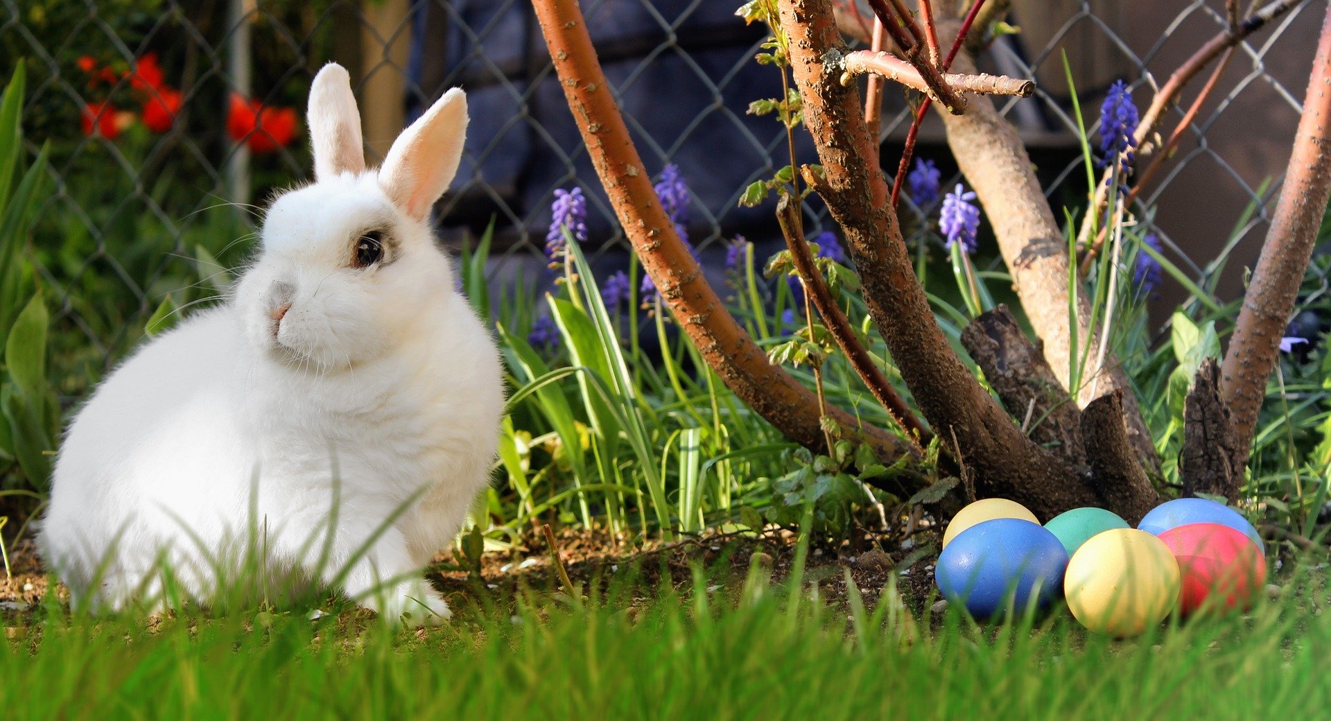 Velikonoce: svátky jara, tradic a nových začátků 🌸🐣